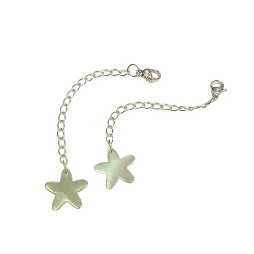 Cadena de Extensión Plateada